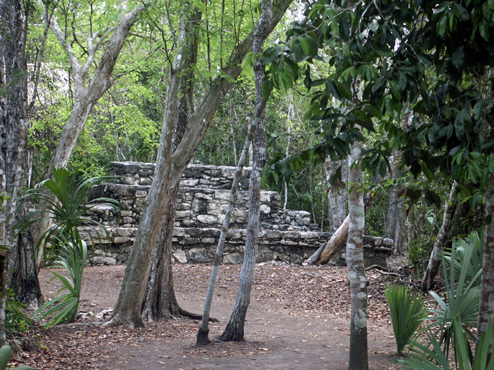 0704 coba 27.jpg - DCF 1.0